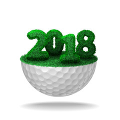 Numbers of 2018 grass on golf ball