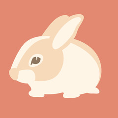 cartoon rabbit vector illustration flat style profile
