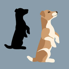 jack russell terrier puppy vector illustration flat - obrazy, fototapety, plakaty