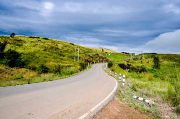 Forest with a curvy road leading away from the viewer,