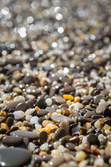 Sea stones on the seashore in the summer