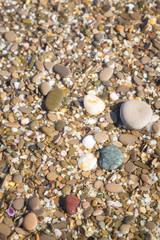 Sea stones on the seashore in the summer