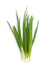 Fototapeta premium Fresh green onion on white background