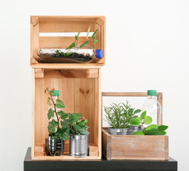 Wooden boxes with aluminum cans and plastic bottles used as containers for growing plants, on light background
