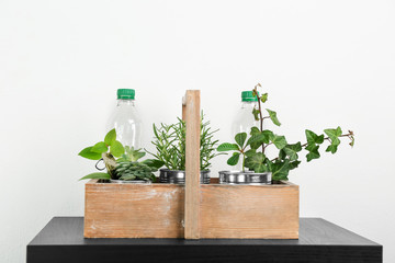Wooden box with aluminum cans and plastic bottles used as containers for growing plants, on light background