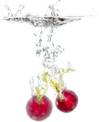 radish in water isolated on white background