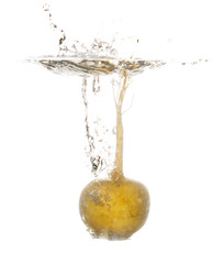 turnip in water isolated on white background