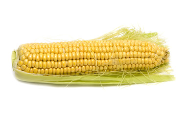 Yellow corn in the cob on a white background