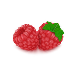 Red raspberries and green leaves isolated on a white background