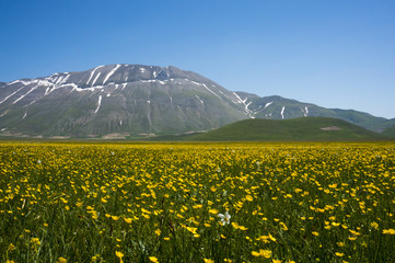 Italian mountain village Castelluccio