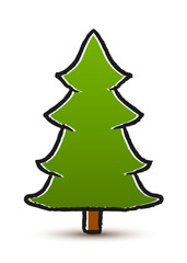 Vector drawing conifer isolated on white background