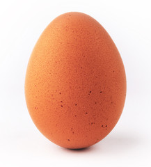 Eggs: Brown Egg Isolated on White Background