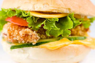 cheeseburger, macro