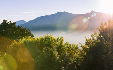 Morning view of Zhushan blue mountains range covered by fog with green forest and shining sunlight,...