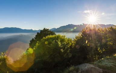Naklejka premium Morning view of Zhushan blue mountains range covered by haze with green forest and shining sunlight, forest area in Alishan, Taiwan.