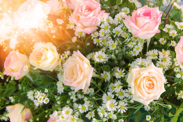 Close-up white roses