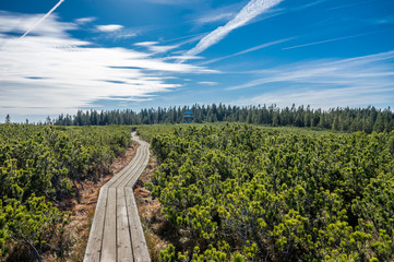 Wooden walking trail at Lovrenc lakes