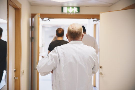 Rear view of mature doctor walking with colleagues and patient at hospital corridor