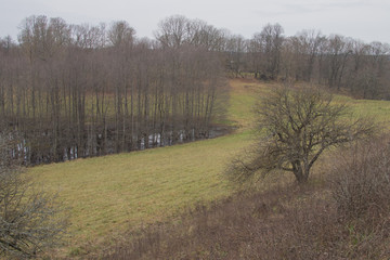 View of the lake in autumn
