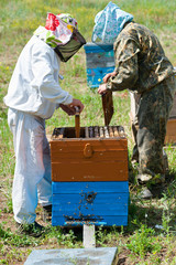 beekeepers at work