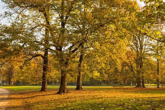 Autumn in Sempione Park in Milan, Italy.