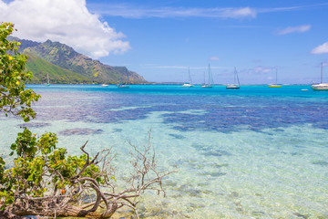 Plage de ta'ahiamanu
