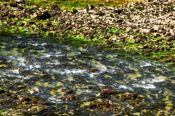 Green Canyon At Turkey