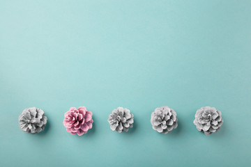 Pink pine cone in a line of white ones, crative flatlay with copy space