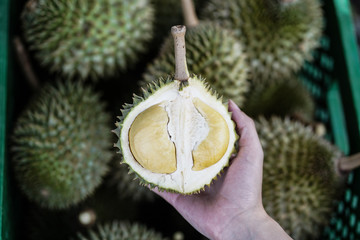 mini Puang Manee durian on woman hand