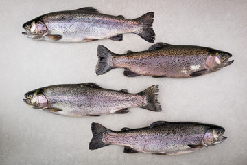 Fresh fish. Trout fish on gray background. Cooking fish. Top view