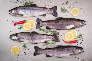 Fresh fish. Trout with salt, lemon, rosemary, spices and herbs on gray background. Cooking fish with herbs. Top view