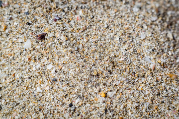 sand on the sea beach