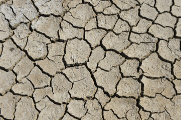 Dry soil cracking