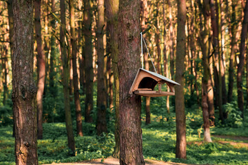 birdhouse on a tree in forest Park , hand wood shelter for birds to spend the winter