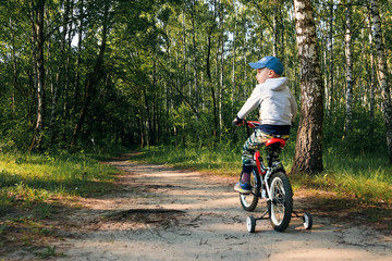 child on a bicycle in the forest in early morning. Boy cycling outdoors in helmet