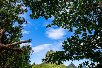 Montagnes de Moorea