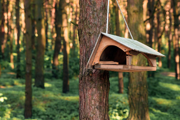 birdhouse on a tree in forest Park , hand wood shelter for birds to spend the winter