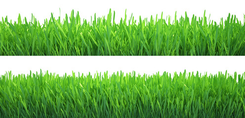 Green grass banners set. Nature background. Meadow. Spring, summer season. Plant growth 3d rendering