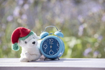 White dog doll with blue clock on backdrop