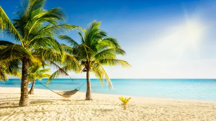 Rolgordijnen Zonnig Caribisch strand met palmbomen en traditionele gevlochten hangmat © foto8tik