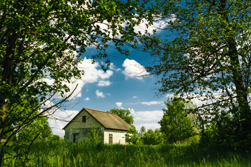 Obraz premium House in the forest against the blue sky