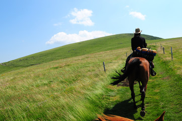 &eacute;quitation dans le cantal