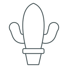 Cactus plant in vase