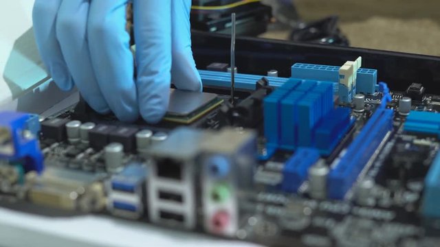 a man in blue latex gloves collects chips. production of modern computers. the hands of a person set the ditali. 4K