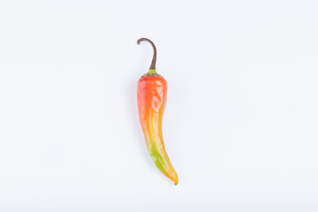 chili pepper isolated
