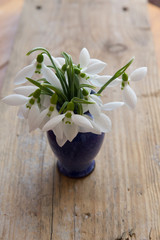 spring bouquet with snowdrops