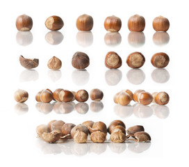 hazelnuts many different combinations and angles. food background of nuts