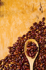 Raw pure speckled kidney beans