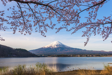 Mt. Fuji in Spring