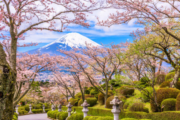 Fuji Mountain in Spring © SeanPavonePhoto